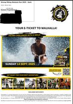 Place Strong Viking à vendre 14/09 GENT 13km, Tickets en Kaartjes, Eén persoon