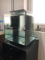 Aquarium van 60 liter (nieuw), Dieren en Toebehoren, Ophalen, Zo goed als nieuw, Gevuld zoetwateraquarium