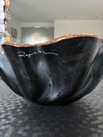 Schaal Regina Medeiros, Enlèvement