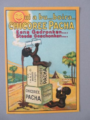 RARE postkaart Chicoree PACHA ! Matadi Kinshasa Congo  beschikbaar voor biedingen