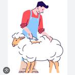 Tondeur de mouton, Animaux & Accessoires, Enlèvement
