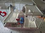 hamsterkooi, Dieren en Toebehoren, Ophalen, Kooi, 60 tot 90 cm, Zo goed als nieuw