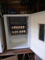 Nieuwe broedmachine, Dieren en Toebehoren