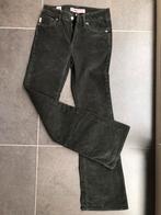 Broek Superdry, Overige kleuren, Superdry, Nieuw, Ophalen of Verzenden