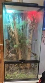 (ZIE BESCHRIJVING) Exo Terra Complete Terrarium, Dieren en Toebehoren, Reptielen en Amfibieën | Toebehoren, Ophalen of Verzenden