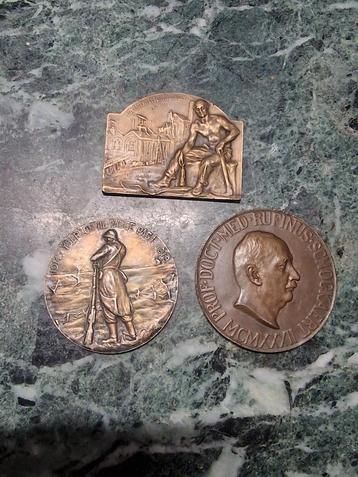 Ancienne médaille, Enlèvement