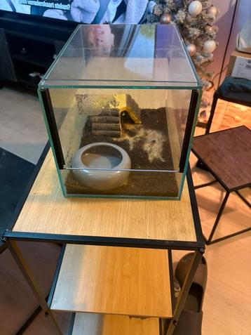 Terrarium  beschikbaar voor biedingen