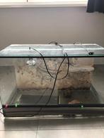 Terrarium, Dieren en Toebehoren, Ophalen, Zo goed als nieuw, Terrarium of Paludarium