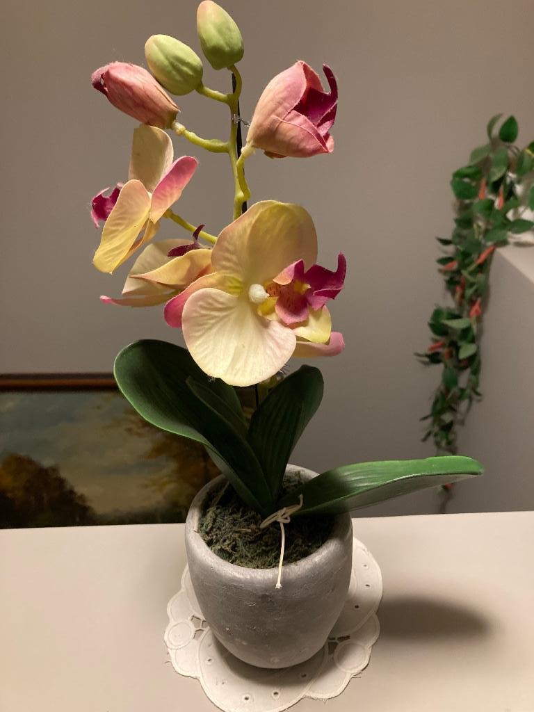 Namaak orchidee., Ophalen of Verzenden, Zo goed als nieuw, Binnen
