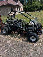 Pgo buggy 250cc project of onderdelen