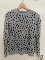 Pull gris à pois noirs Zara, Vêtements | Femmes, Pulls & Gilets, Neuf, Gris, Zara, Taille 34 (XS) ou plus petite