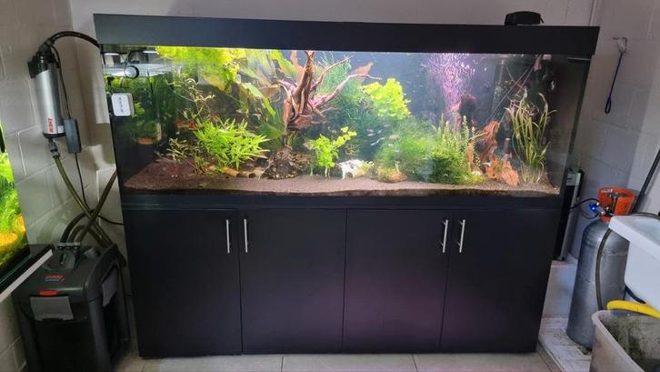Prachtige aquarium 1m80 met werkelijk alles erop en eraan!, Dieren en Toebehoren, Vissen | Aquaria en Toebehoren, Zo goed als nieuw