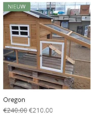 26 OKTOBER KIPPENHOK ACTIE ZONDAG  beschikbaar voor biedingen