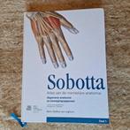 Waschke - 1 Algemene anatomie en bewegingsapparaat, Boeken, Ophalen of Verzenden, Zo goed als nieuw, Waschke; Paulsen