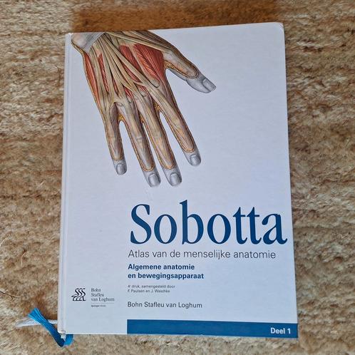 Waschke - 1 Algemene anatomie en bewegingsapparaat, Boeken, Wetenschap, Zo goed als nieuw, Ophalen of Verzenden