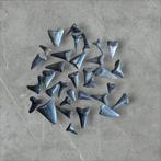 Joli lot de 35 dents de requin-coq (foxstroke), Collections, Enlèvement ou Envoi, Fossile