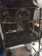 Cage a vendre a 60€ prix fixe, Dieren en Toebehoren, Vogels | Hokken en Kooien, Ophalen, Gebruikt, Overige typen