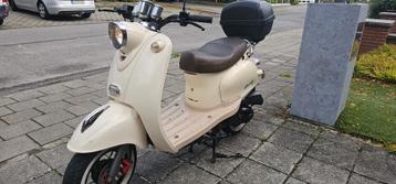 Klasse A Venesi Lowigi beschikbaar voor biedingen
