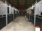 GEZOCHT: Woning met paardenstallen + weide, Vrijstaande woning, 1500 m² of meer