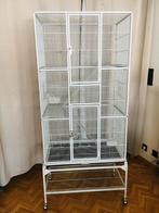 Vogel / knaagdieren kooi, Dieren en Toebehoren, Ophalen, Zo goed als nieuw, Metaal, Volière