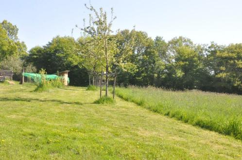 Foin - petits ballots, Dieren en Toebehoren, Dierenvoeding, Ophalen