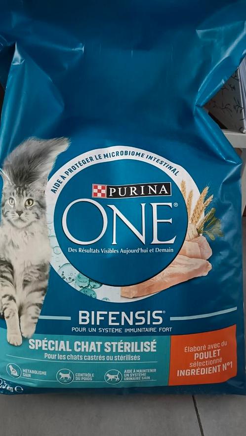 Sac de nourriture pour chat PURINA ONE XXL de 7,5 kg, Animaux & Accessoires, Nourriture pour Animaux, Enlèvement