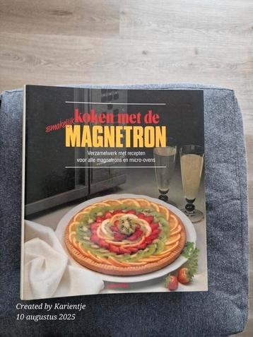 Koken met de magnetron beschikbaar voor biedingen