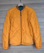 2 vestes en 1, en fonte, neuves, taille M, Enlèvement ou Envoi, Neuf, Taille 48/50 (M), Cast Iron