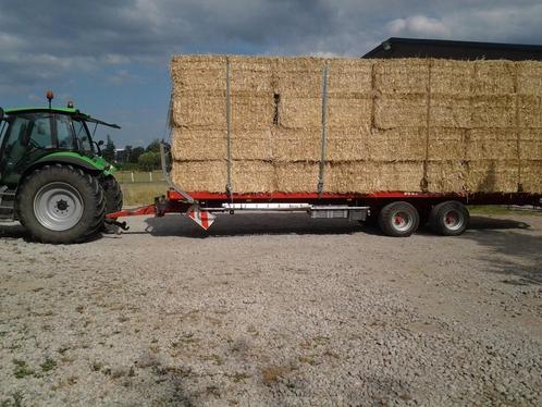 GEZOCHT GROTE PAKKEN TARWE STRO IN DE BUURT VAN DUFFEL, Zakelijke goederen, Landbouw | Veevoer, Ophalen