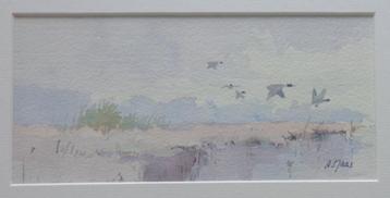 AD MAAS / VLIEGENDE EENDEN / ORIGINEEL / 23x34cm / KADER SIG beschikbaar voor biedingen