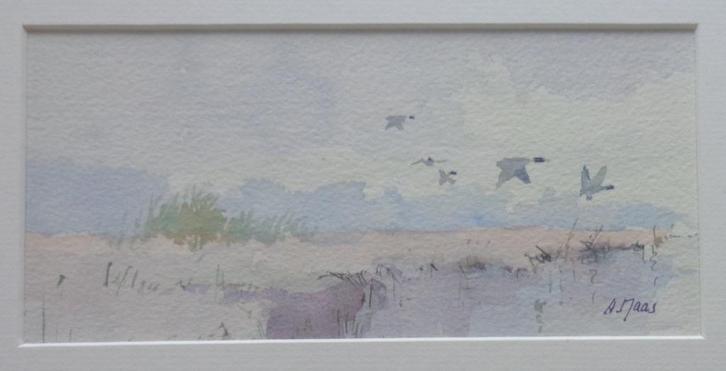 AD MAAS / VLIEGENDE EENDEN / ORIGINEEL / 23x34cm / KADER SIG, Antiek en Kunst, Kunst | Schilderijen | Modern, Ophalen of Verzenden