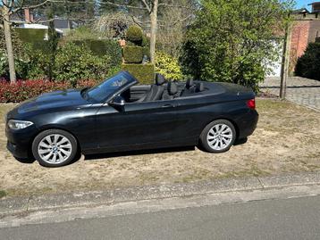 BMW 220 d euro6b 190 pk beschikbaar voor biedingen