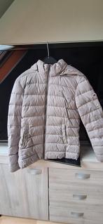 Tommy Hilfigher jas, Kleding | Dames, Ophalen of Verzenden, Zo goed als nieuw, Maat 46/48 (XL) of groter