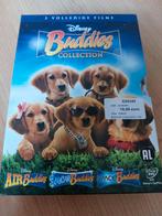 Dvd's Buddies Collection, Comme neuf, Enlèvement ou Envoi