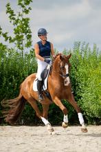 Mega knappe en lieve dressuurmerrie v. Desperado, Dieren en Toebehoren, Merrie, Gechipt, Dressuurpaard, L