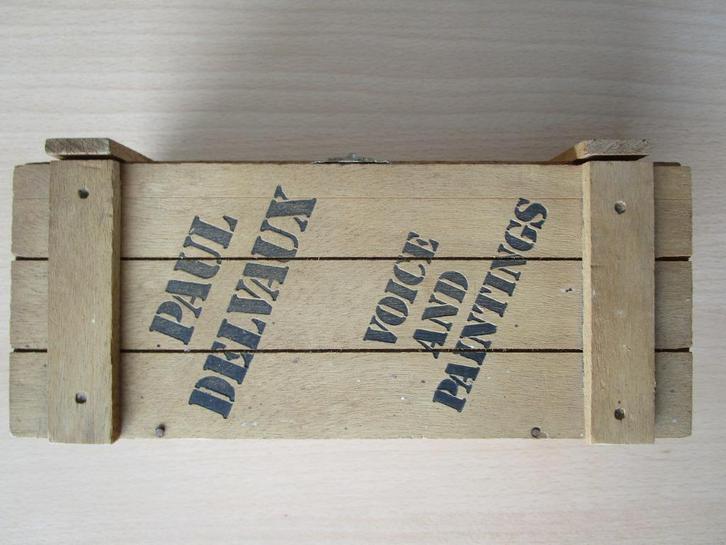 PAUL DELVAUX : BOX + 36 DIA'S + CASSETTE  + 11 UITLEG KAARTE, Boeken, Kunst en Cultuur | Beeldend, Zo goed als nieuw, Schilder- en Tekenkunst