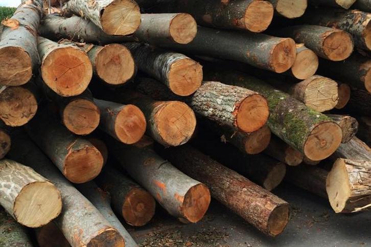 bois de chauffage sec, Jardin & Terrasse, Bois de chauffage, Enlèvement ou Envoi