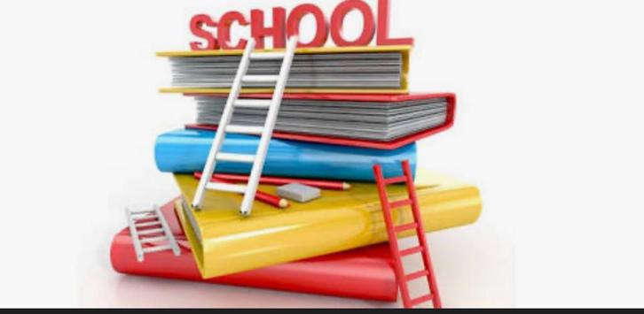 Bijles wiskunde & wetenschappen – lager & middelbaar, Diensten en Vakmensen, Bijles, Privé-les en Taalles, Bijles