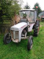 Tracteur ferguson TE20, Ophalen, Tot 2500, Oldtimer, Tot 80 Pk