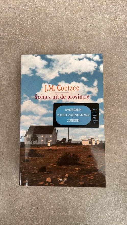 J.M. Coetzee - Scenes uit de provincie, Boeken, Literatuur, Zo goed als nieuw, Ophalen