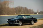 Ferrari 250 GT 2+2, Te koop, 12 cilinders, Benzine, Overige modellen