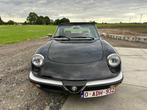 Alfa Romeo - Spider 1600 - Voiture classique, Autos, Achat, Entreprise, Cabriolet, Toit ouvrant
