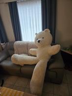 Mega Grote Beer TED koopje 25€, Enlèvement ou Envoi