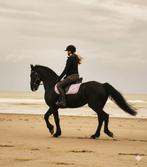 Fries te koop, Merrie