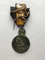 Médaille Yser avec lion, Armée de terre, Enlèvement ou Envoi, Ruban, Médaille ou Ailes