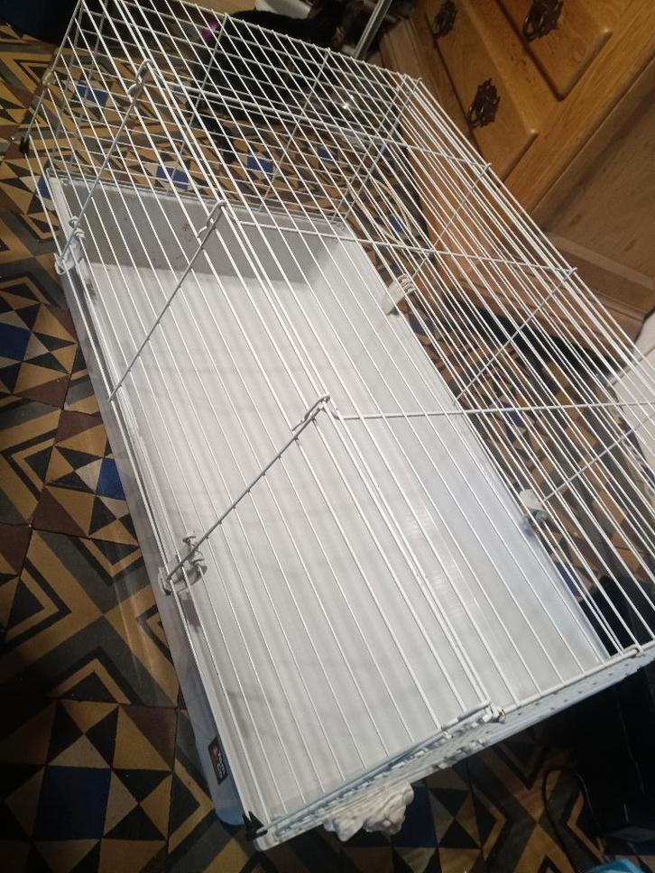 Set met konijnenkooi en accessoires, Dieren en Toebehoren, Knaagdieren en Konijnen | Hokken en Kooien, Gebruikt, Kooi, Minder dan 60 cm