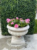 Betonnen bloempotten nu €50 per stuk - 40x40 cm. In NL, Tuin en Terras, Bloempotten, Ophalen, 40 cm of meer, Rond, Nieuw