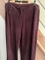 Broek, Kleding | Dames, Paars, Maat 46/48 (XL) of groter, Ophalen of Verzenden, Lang