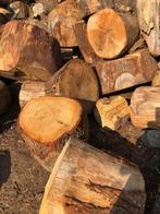 Rondins à refendre chene et hetre, Jardin & Terrasse, Bois de chauffage, Enlèvement ou Envoi, Chêne