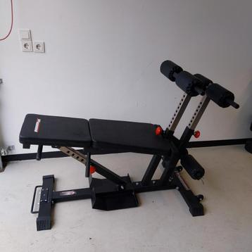 Barbarian line Torso Trainer  multifunctionele bench  beschikbaar voor biedingen